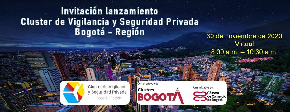 Lanzamiento Cluster de vigilancia y seguridad privada