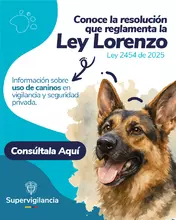 Ley Lorenzo