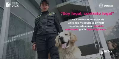 SOY LEGAL, CONTRATO LEGAL