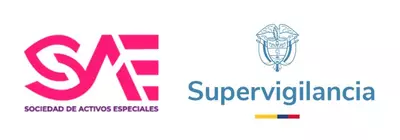 SAE y Supervigilancia continúan acciones administrativas contra empresas de vigilancia involucradas en presuntas acciones criminales de un 'Cartel de la Carnetización'