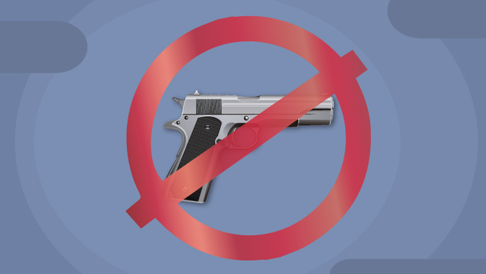 Decreto Ministerial sobre la restricción en el porte de armas